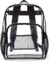 Amazon Basics Transparent Clear School Backpack, Water-Resistant PVC Plastic, Reinforced Shoulder Straps, 17 x 7 x 13 in