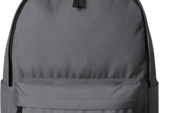 Amazon Basics Classic School Backpack with Multiple Compartments, Sturdy Construction, Adjustable Straps – Grey