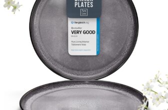 Stoneware Dinner Plate Set for 2, 10.6″ Large Kitchen Plates, Raised Rim