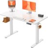ErGear Height Adjustable Electric Standing Desk, Sit Stand up Desk, Memory Computer Home Office Desk (White)