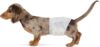 Amazon Basics Absorbent, Leakproof Male Dog Wrap Disposable Diapers with Wetness Indicator, Breathable, Small, White, 50-Pack