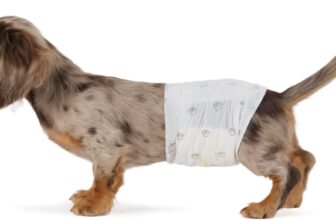 Amazon Basics Absorbent, Leakproof Male Dog Wrap Disposable Diapers with Wetness Indicator, Breathable, Small, White, 50-Pack